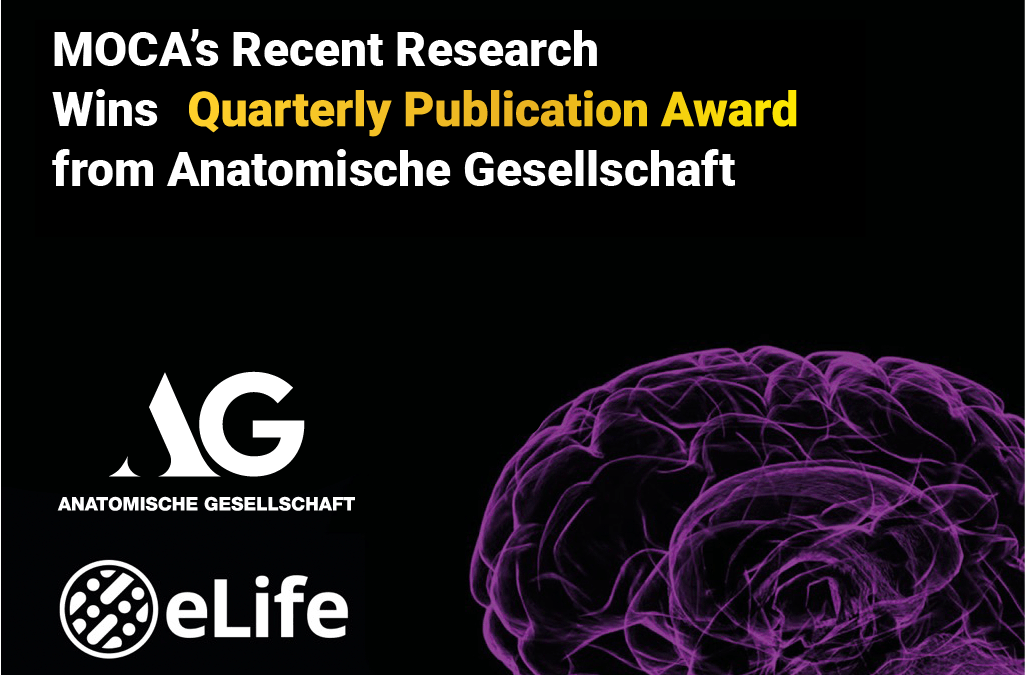 MOCA’s Recent Research Wins Quarterly Publication Award from Anatomische Gesellschaft