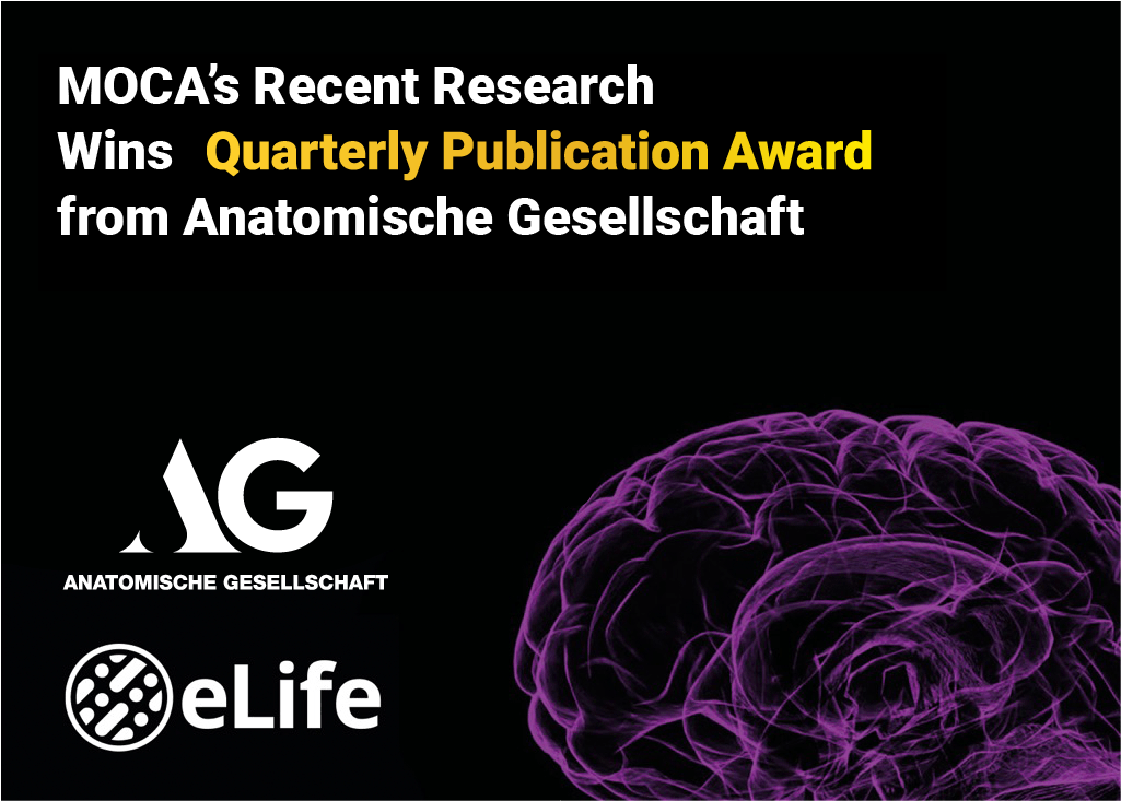 MOCA’s Recent Research Wins Quarterly Publication Award from Anatomische Gesellschaft
